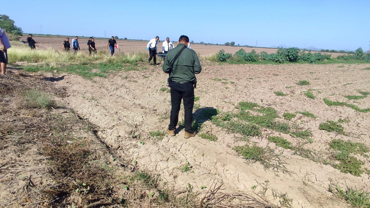 Localizan a un adulto mayor sin vida en un predio agrícola en Goro 2, Ahome