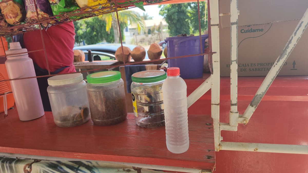 Como un remedio ante el dengue, “vuela” el agua de coco en Guasave