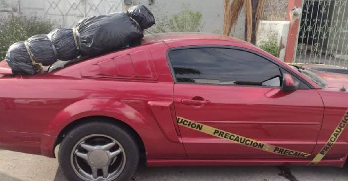 ¡Ni por diversión!’ Llama el alcalde de Mazatlán a no hacer apología de la narcocultura en Halloween