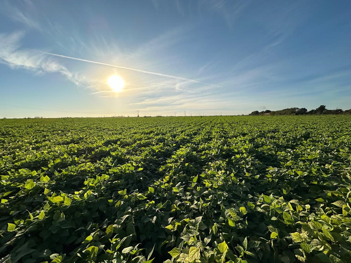 Reasignación de 649 mdp a agricultura es nada para el campo; manda mal mensaje la presidenta: CNC Sinaloa