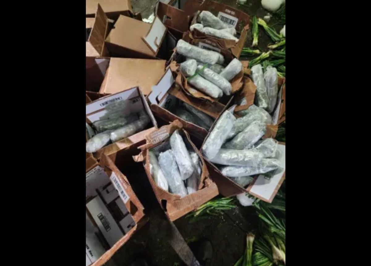 En la frontera, descubren casi 300 kilos de metanfetamina escondida en cargamento de cebollines