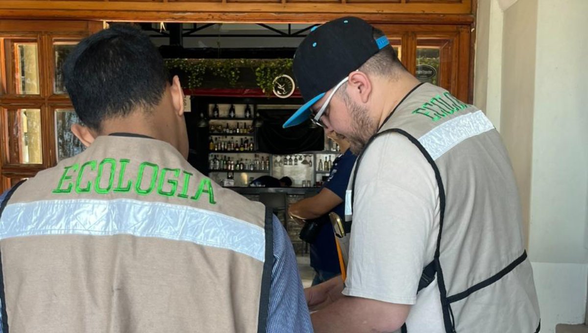 Asegura Ecología una atención de 13 mil 638 denuncias con respuesta inmediata en Mazatlán