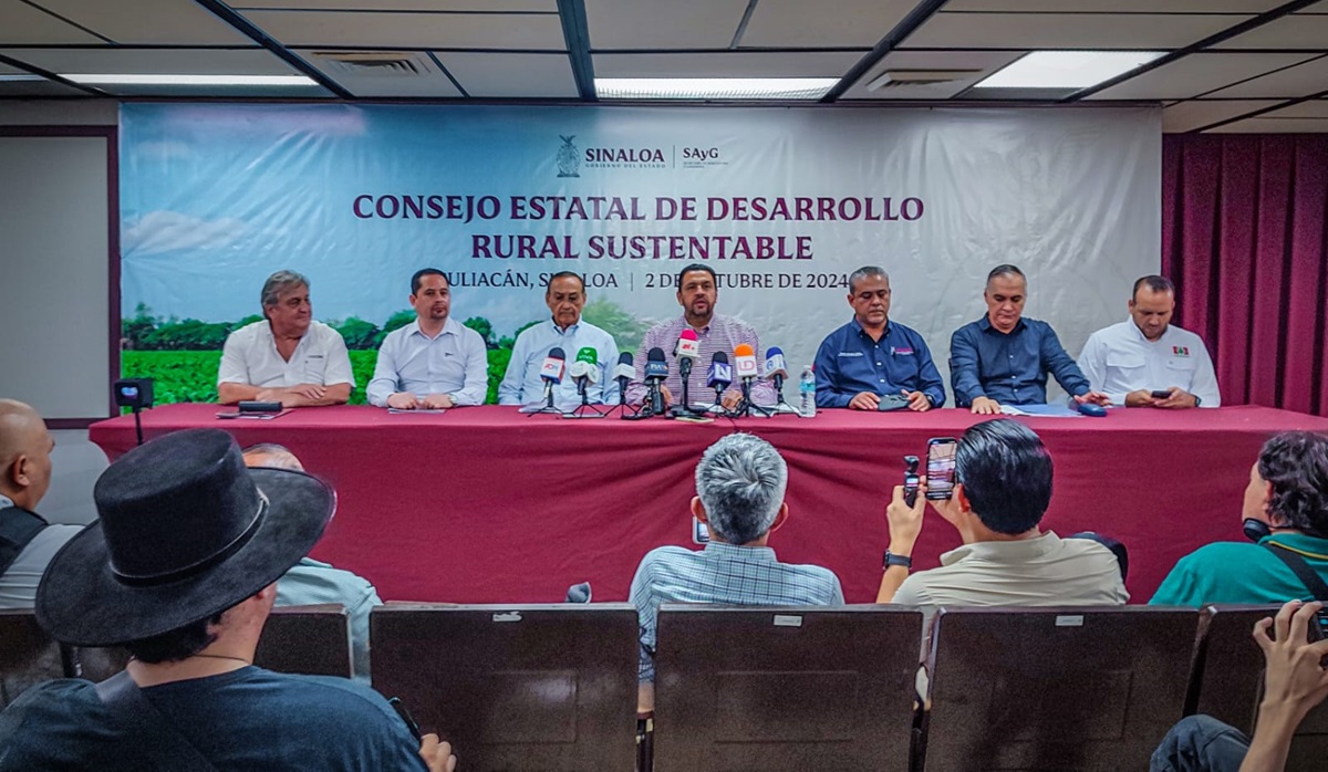 Se establecen 490 mil hectáreas de siembras para el ciclo Otoño-Invierno en Sinaloa