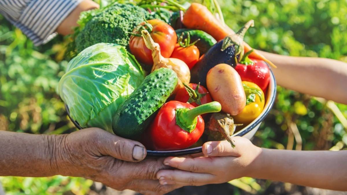 Informe de la FAO revela que 8.6 millones de mexicanos salieron de la inseguridad alimentaria en México