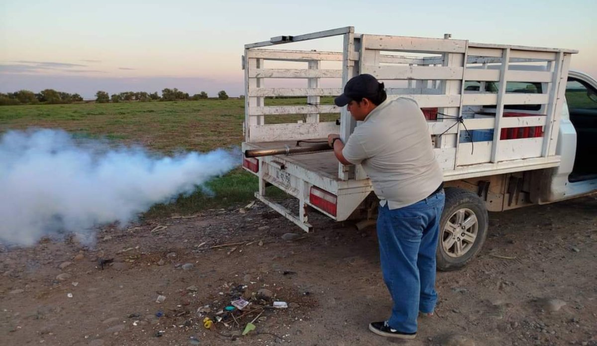 ¡Exijan a los síndicos que fumiguen! Llama Salud municipal de Guasave