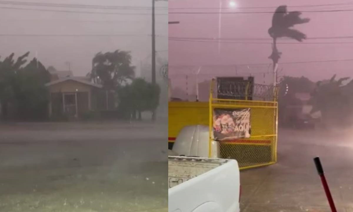 Temporaleros de Choix agradecen la buena lluvia que se registró en las últimas horas