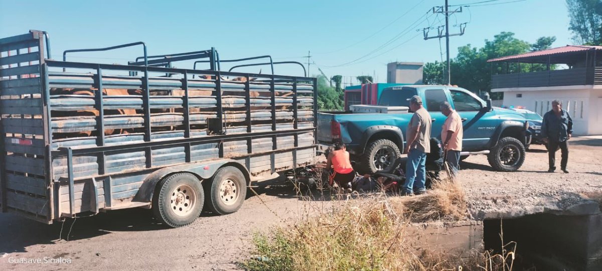 Motociclista termina lesionado al chocar contra camioneta que jalaba remolque con ganado en Guasave