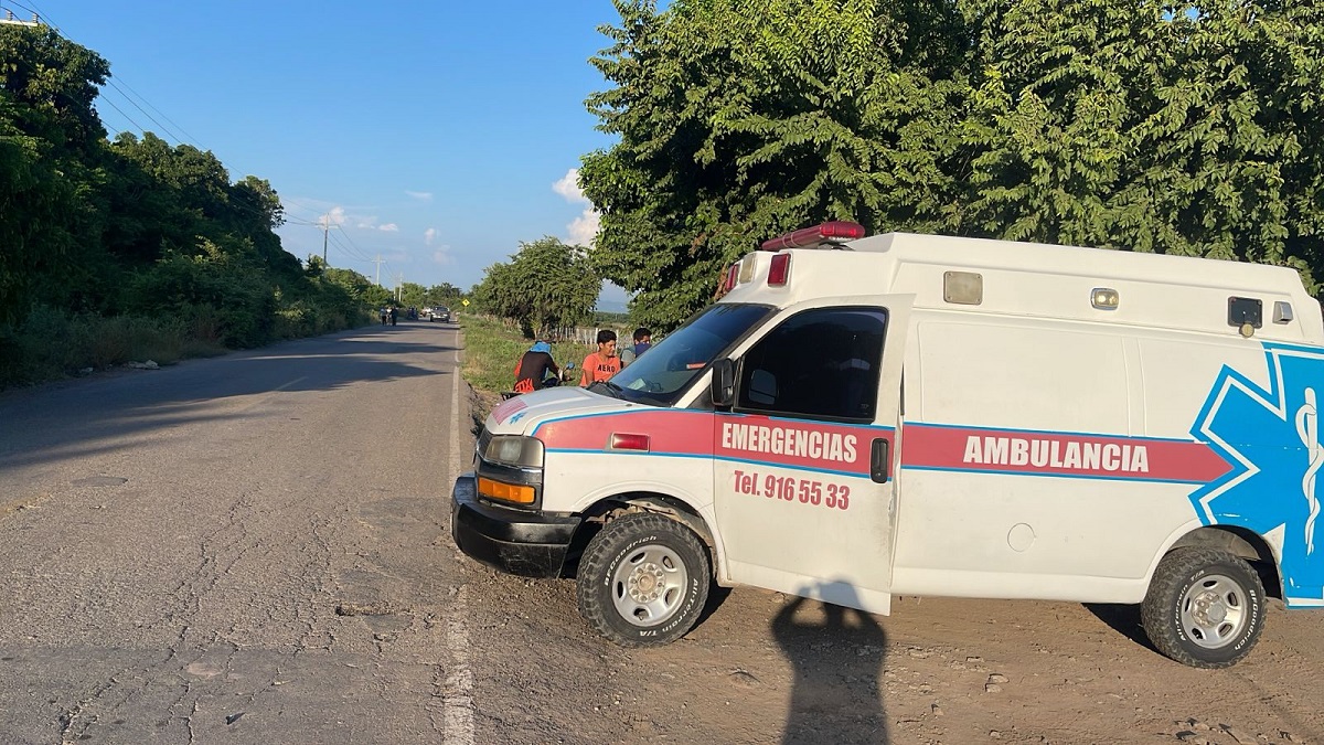 Hombre muere tras ser atacado por abejas en El Walamo al sur de Mazatlán