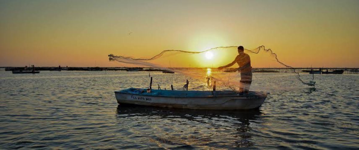Declaran zona de desastre la pesca de camarón en esteros de Mazatlán y Rosario