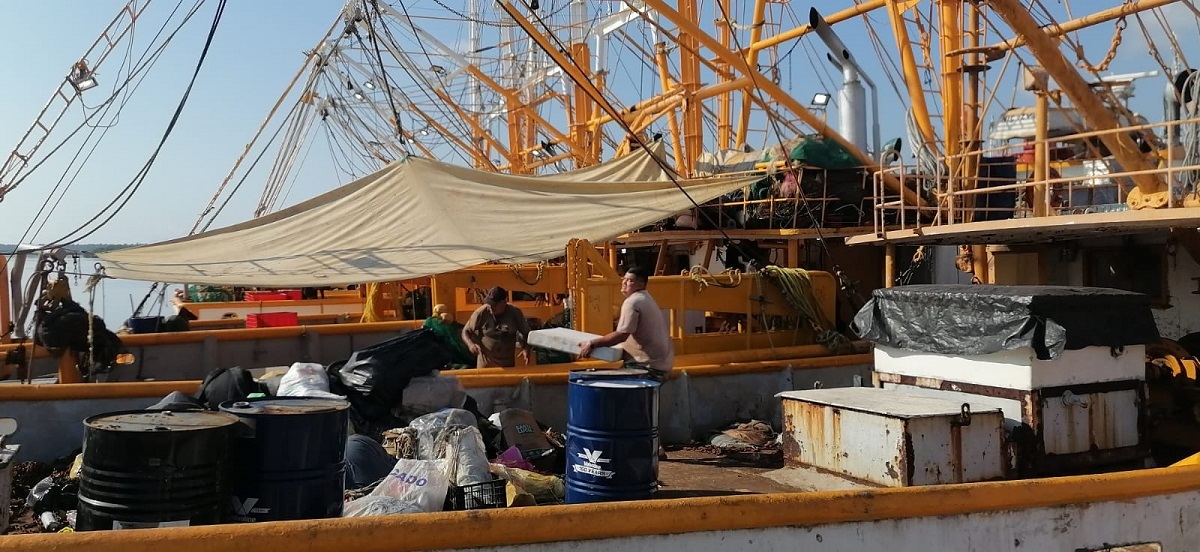 Pescadores de altamar navegan con la esperanza de obtener camarón grande; no hay claridad del volumen