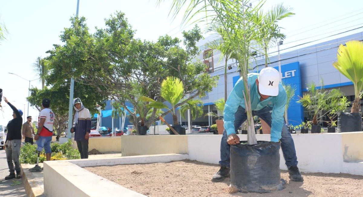 Aplican acciones de mejora en accesos y mantenimiento en avenidas principales de Mazatlán
