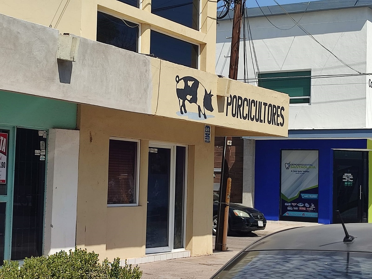 Porcicultores en Ahome ven ligera recuperación a su actividad luego de dos años de problemas