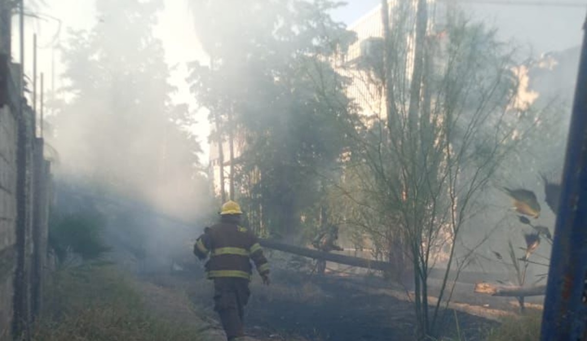 Se registra incendio en terrenos del ingenio de Los Mochis