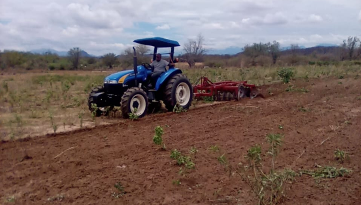 Procampo sí se pagará a productores de Sinaloa, hay compromiso de las dependencias: Ana Ayala