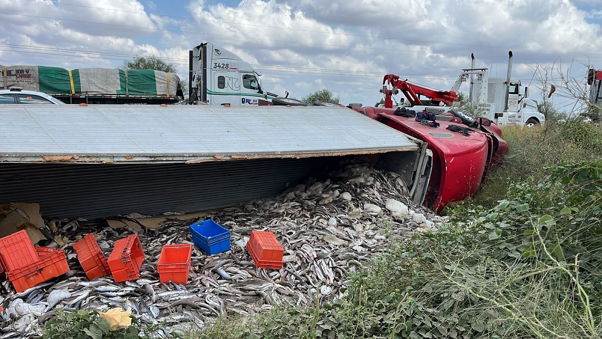 Tráiler que transportaba pescado volcó sobre la México 15, en Guasave