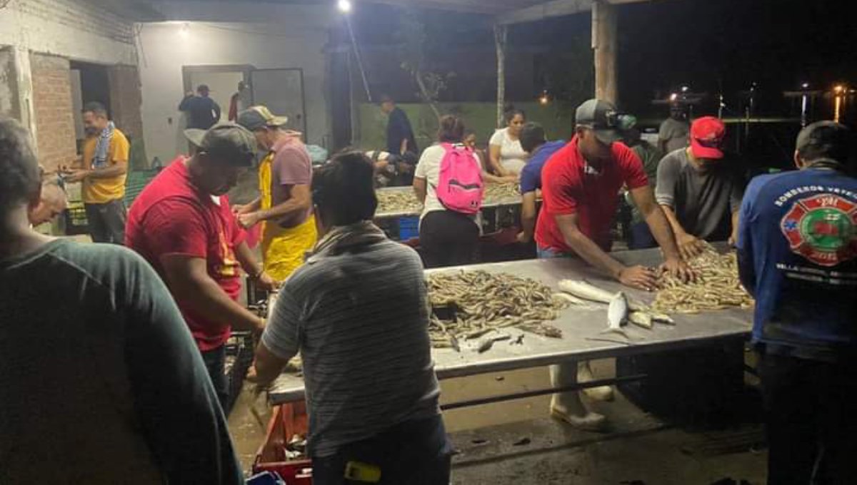 ‘Una situación muy crítica’ reportan en el arranque de la zafra camaronera en campos del sur sinaloense