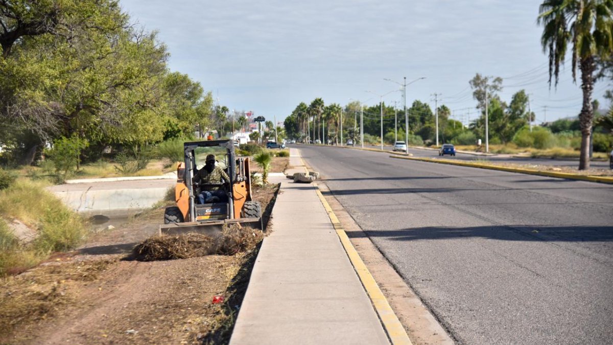 Intensifican trabajos de recuperación y embellecimiento de espacios peatonales en Los Mochis