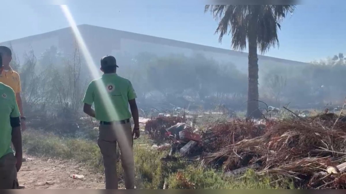 Se incendian palmeras a espaldas del ISSSTE en Los Mochis
