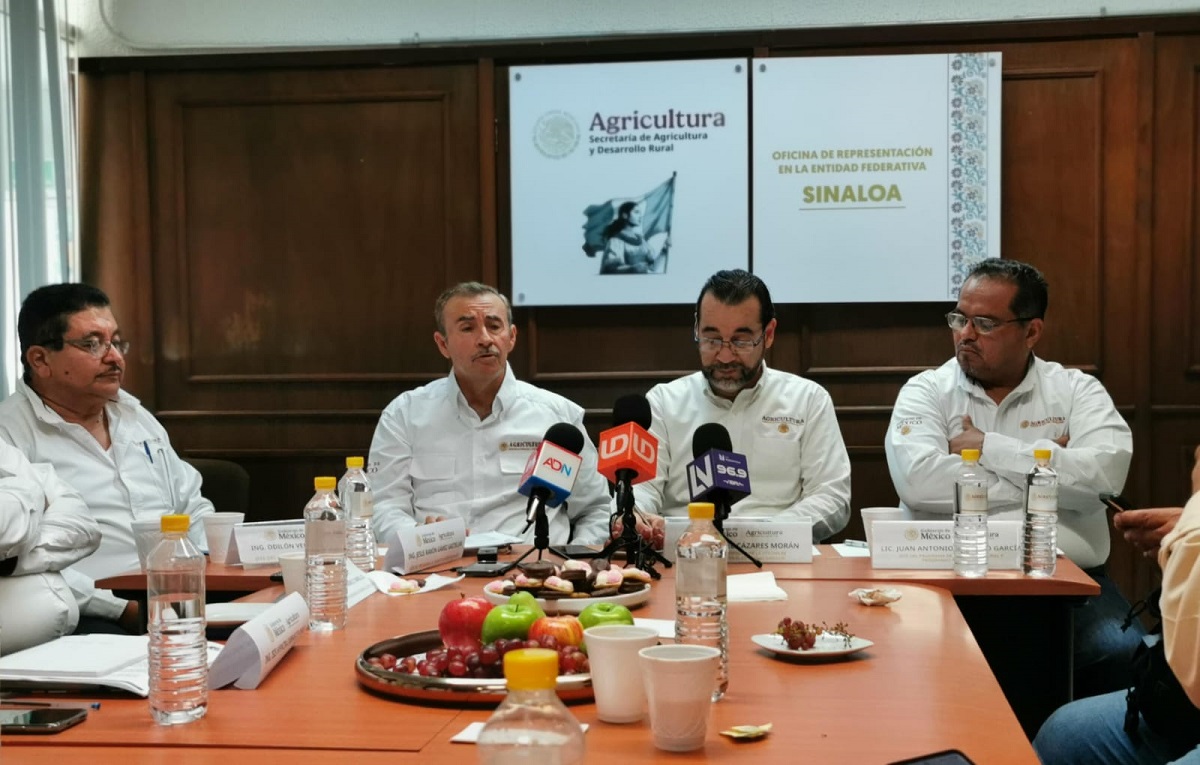 Frijol y garbanzo son los granos mas sembrados para el ciclo agrícola Otoño-Invierno 2024-2025