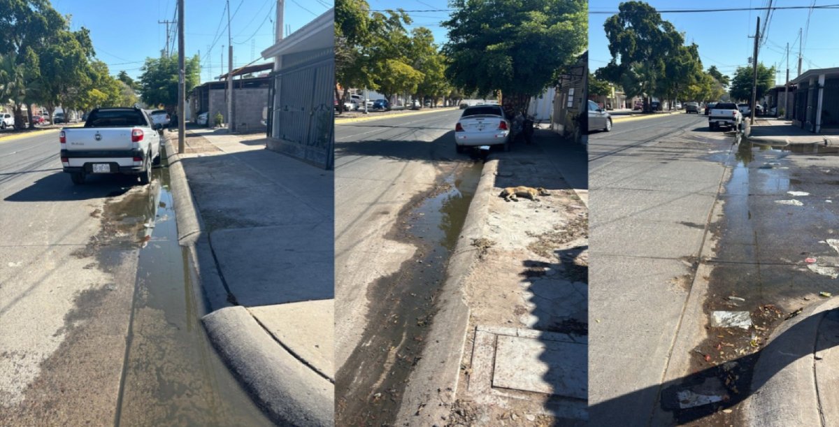 Brotan aguas negras en Los Mochis, vecinos de Las Huertas no soportan el mal olor