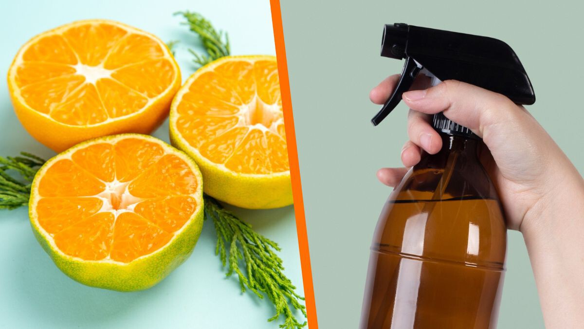 Aromatizante de naranja: la solución para neutralizar los malos olores en la cocina