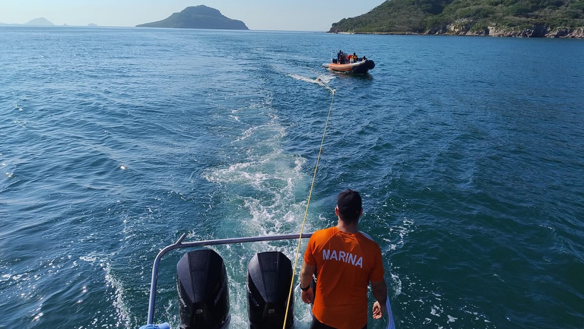Aprenden sobre ‘Desenmallamiento de Grandes Ballenas’, en Mazatlán