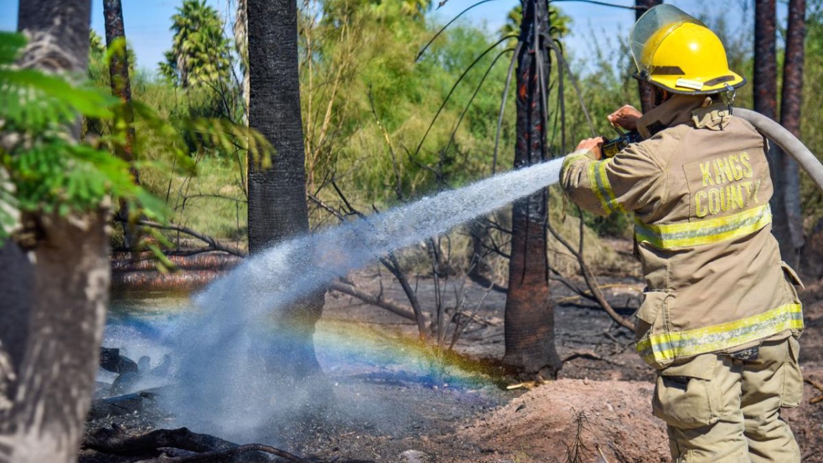 Preocupa a bomberos el incendio de 11 casas de madera y 4 lotes baldíos en los últimos días en Los Mochis