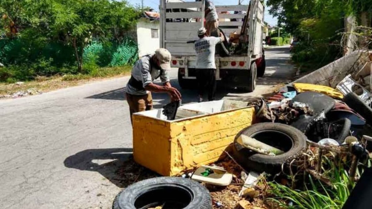 ¡Atención Mazatlán! Este fin de semana hay campaña de descacharrización contra el dengue