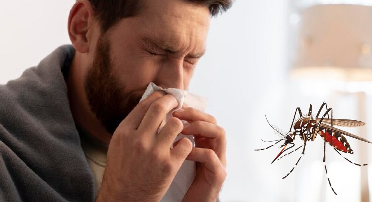 Mazatlán bajo la lupa por casos de dengue, llega a los 600 confirmados