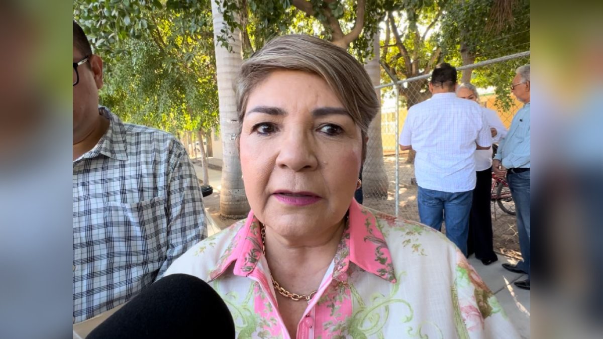 Casos de dengue en Guasave están cayendo en subregistro: Cecilia Ramírez