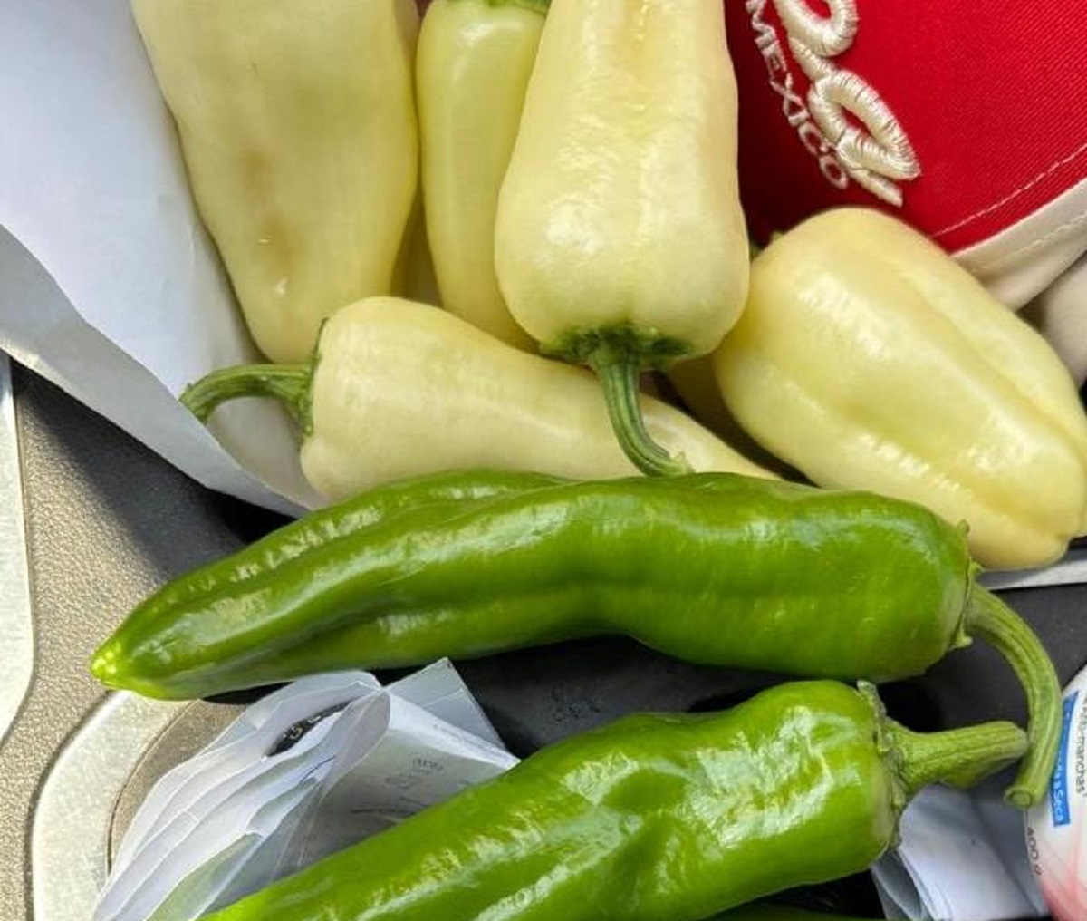 Aprovechan productores de El Carrizo la humedad de sus tierras para emprender la siembra de hortalizas