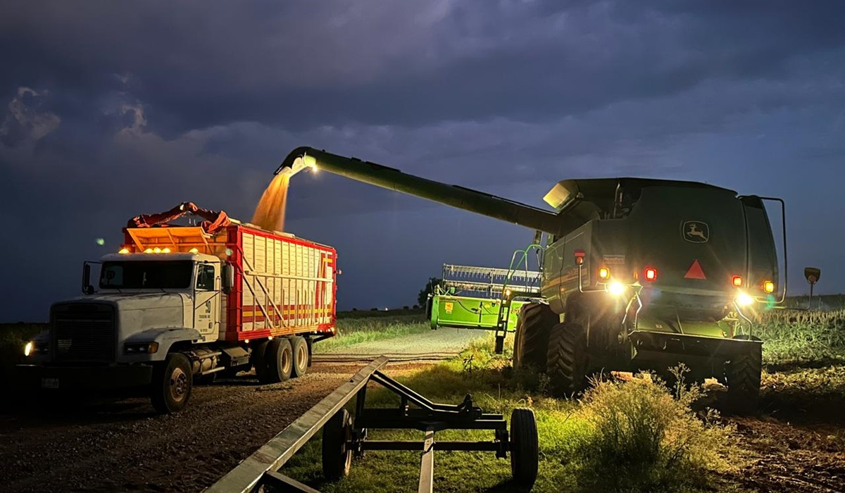 AARSP alista exportación histórica de 1.2 millones de toneladas de sorgo a China