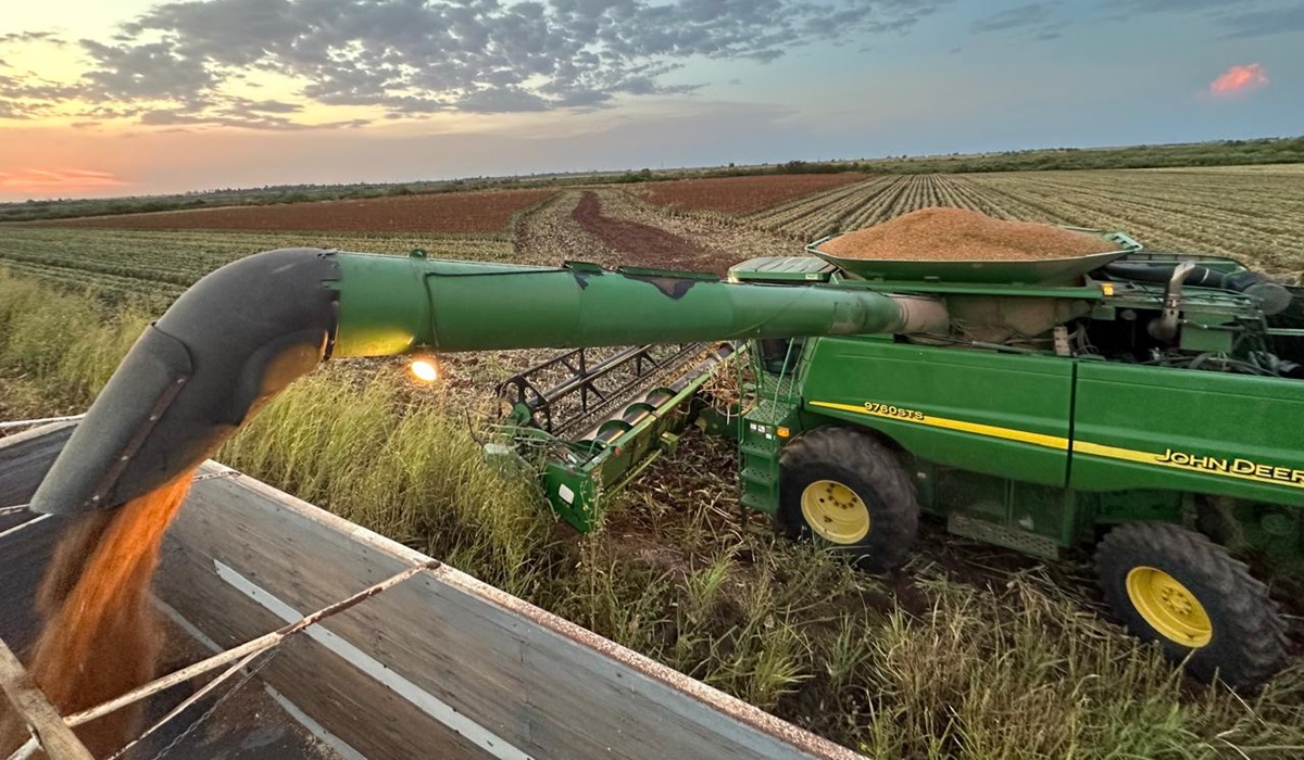 Empresa china, con interés de comprar un millón de toneladas de sorgo a productores sinaloenses: Rocha
