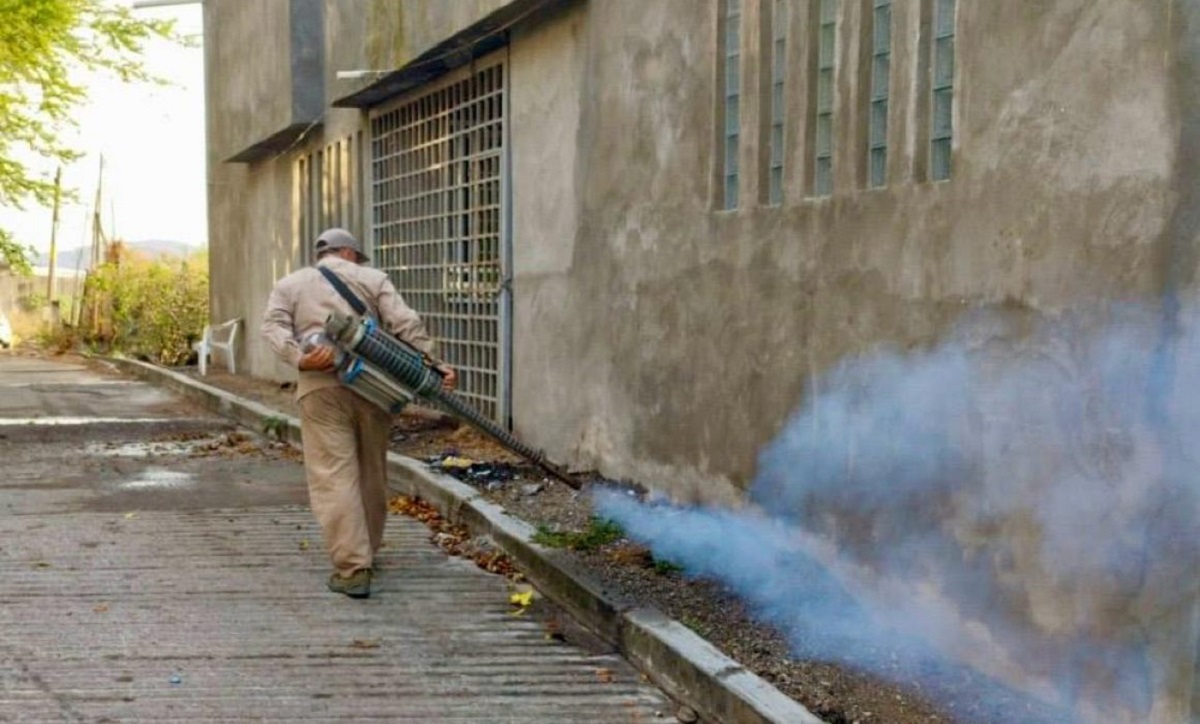 Van 30 casos de dengue en Sinaloa durante este 2025: Secretaría de Salud