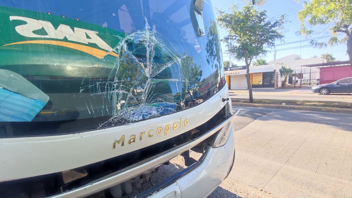Queda en terapia intensiva estudiante atropellado; su estado de salud es grave: IMSS