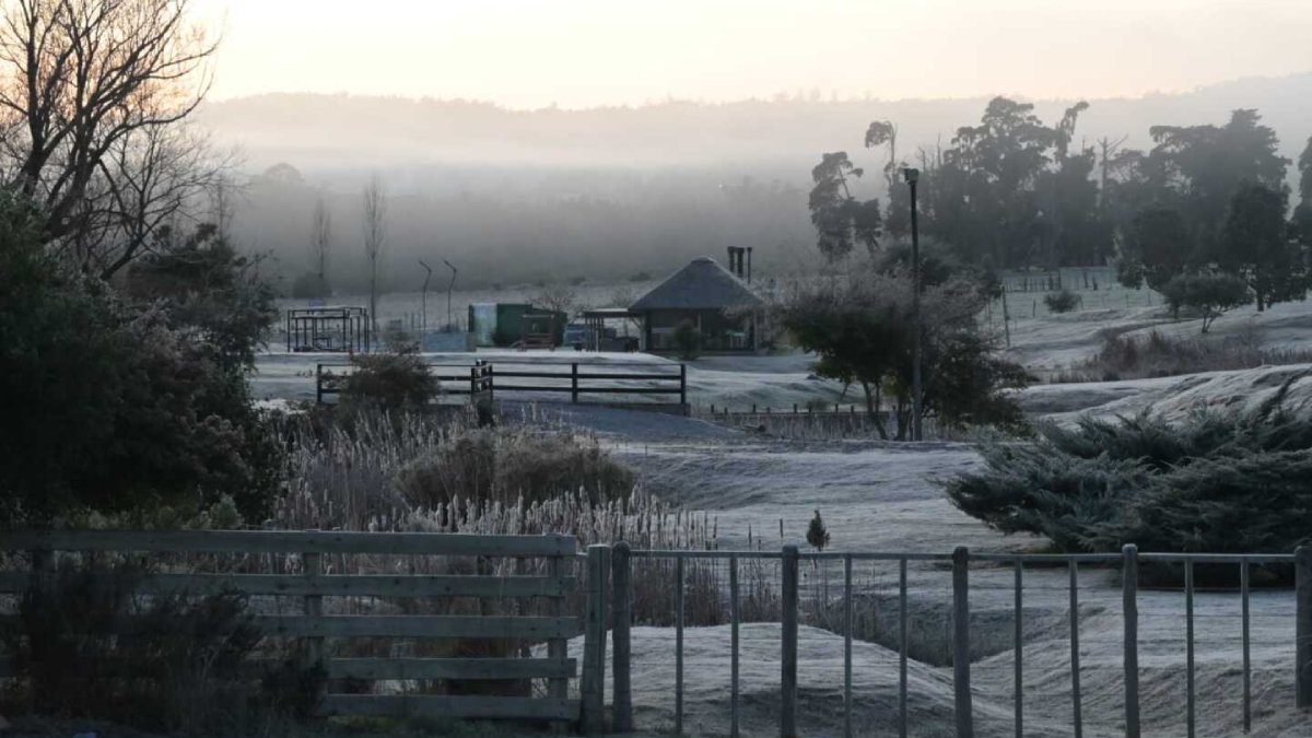 ¡Ya cala! En 14 grados amanece la sierra de Sinaloa municipio, específicamente en San José de Gracia