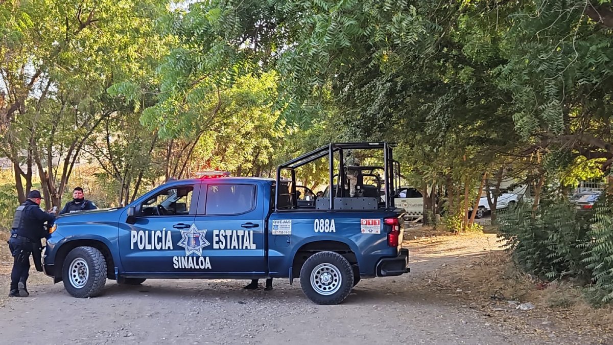 No se ha identificado a mujer localizada sin vida en la Progreso: Semujeres
