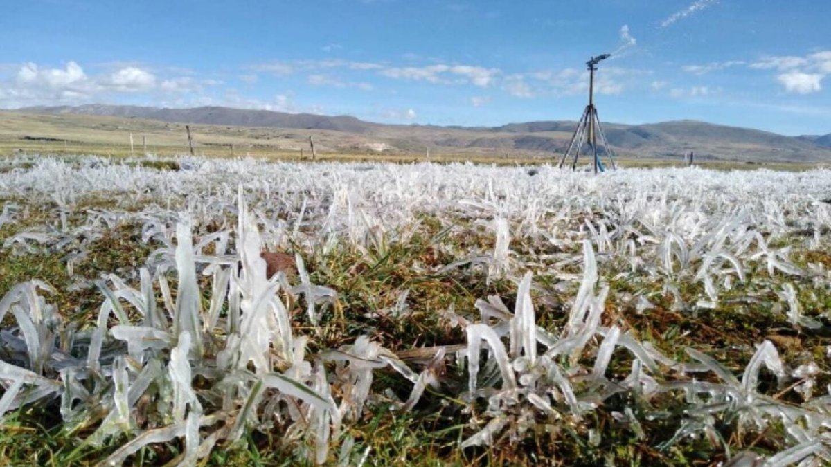 ¡No afloja el frío! De nuevo se preven heladas para la sierra de Sinaloa esta mañana; alertan sobre nieblas