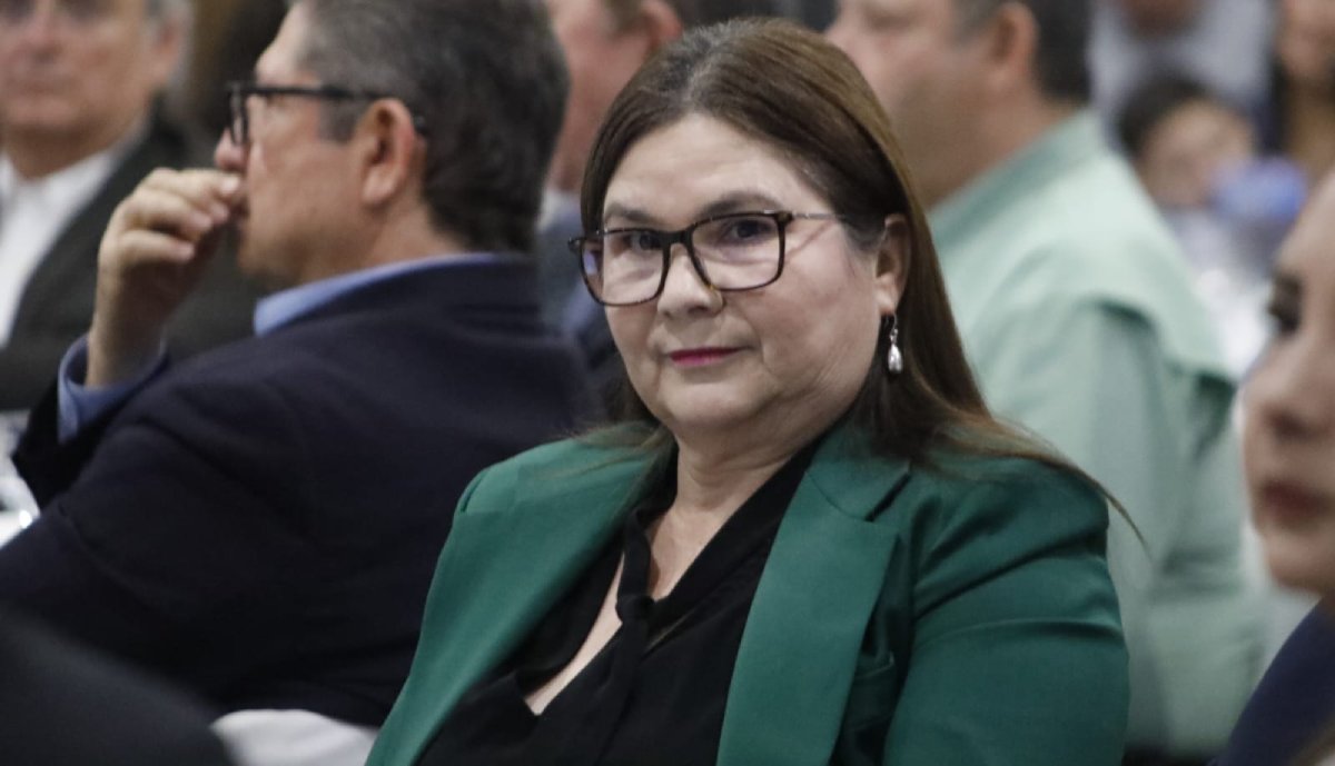 “Fue un ejercicio de contenidos y resultados”: senadora Imelda Castro sobre Primer Informe de Sheinbaum