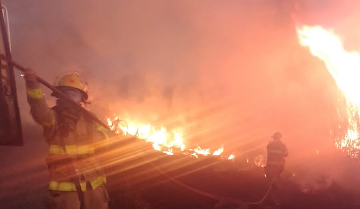 Incendio de maleza por la México 15, en Guasave, moviliza a cuerpos de auxilio