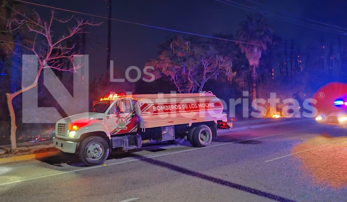 Incendio de palmeras cercanas al CUM de Los Mochis fue provocado: Protección Civil