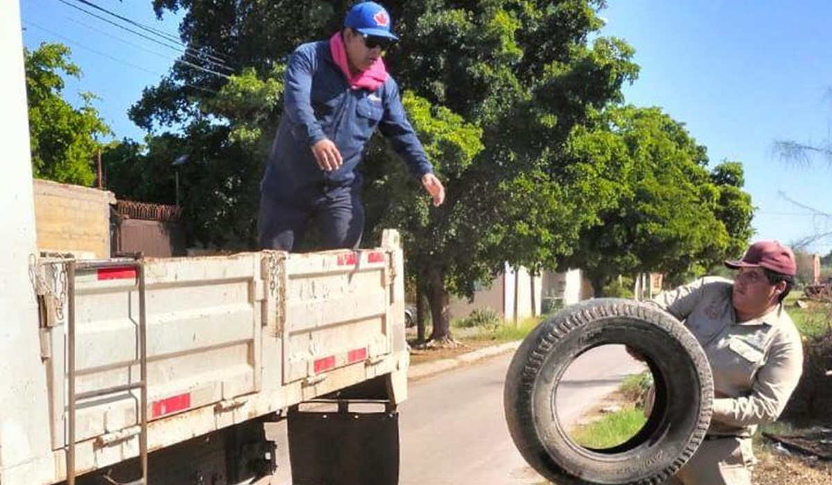 ¡A juntar todo! Suman 16 toneladas de cacharros en un solo sector de Los Mochis; van contra el dengue