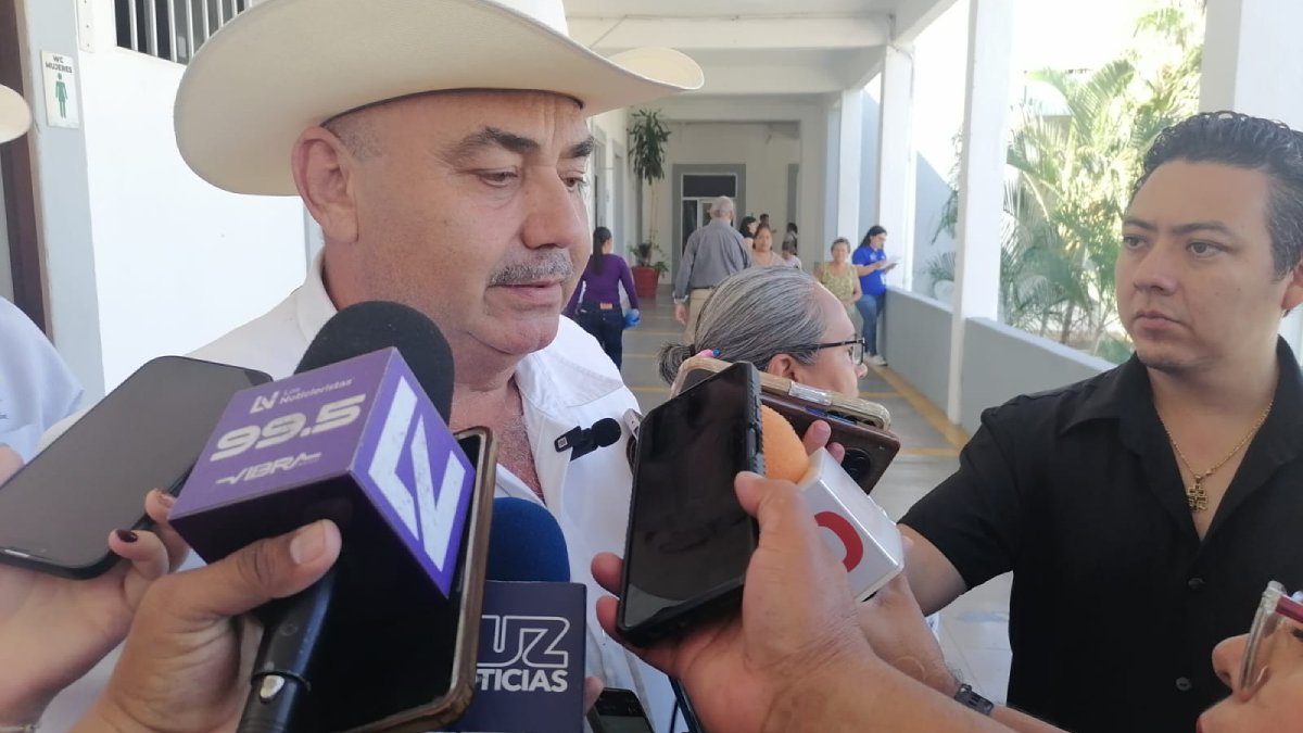 Ganaderos de Mazatlán están vendiendo sus reses antes de que se les adelgace por la falta de alimentos