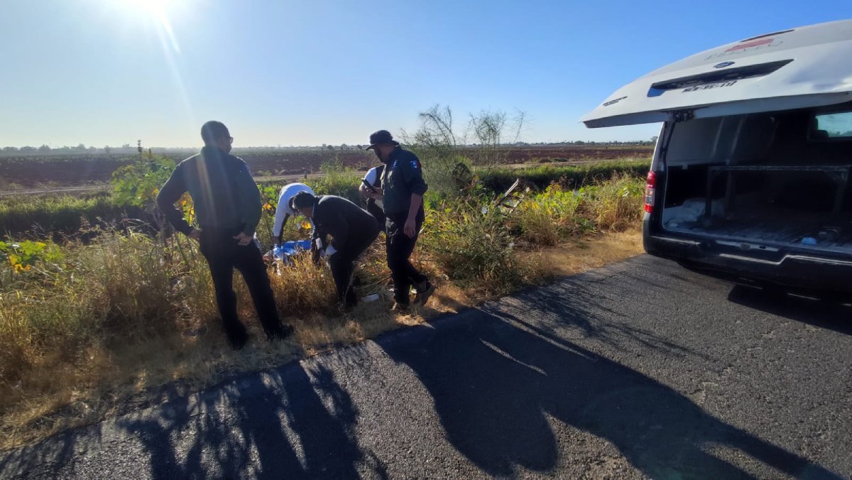 Jardinero pierde la vida tras ser arrollado por un vehículo en la Mochis-Compuertas