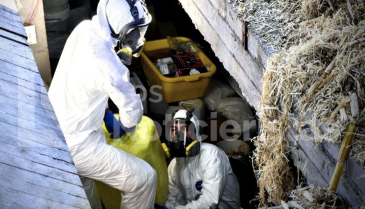 ‘Golpe’ de 26 mil 249 mdp a grupos criminales por desmantelamiento de ‘laboratorios’ en México: SSPC