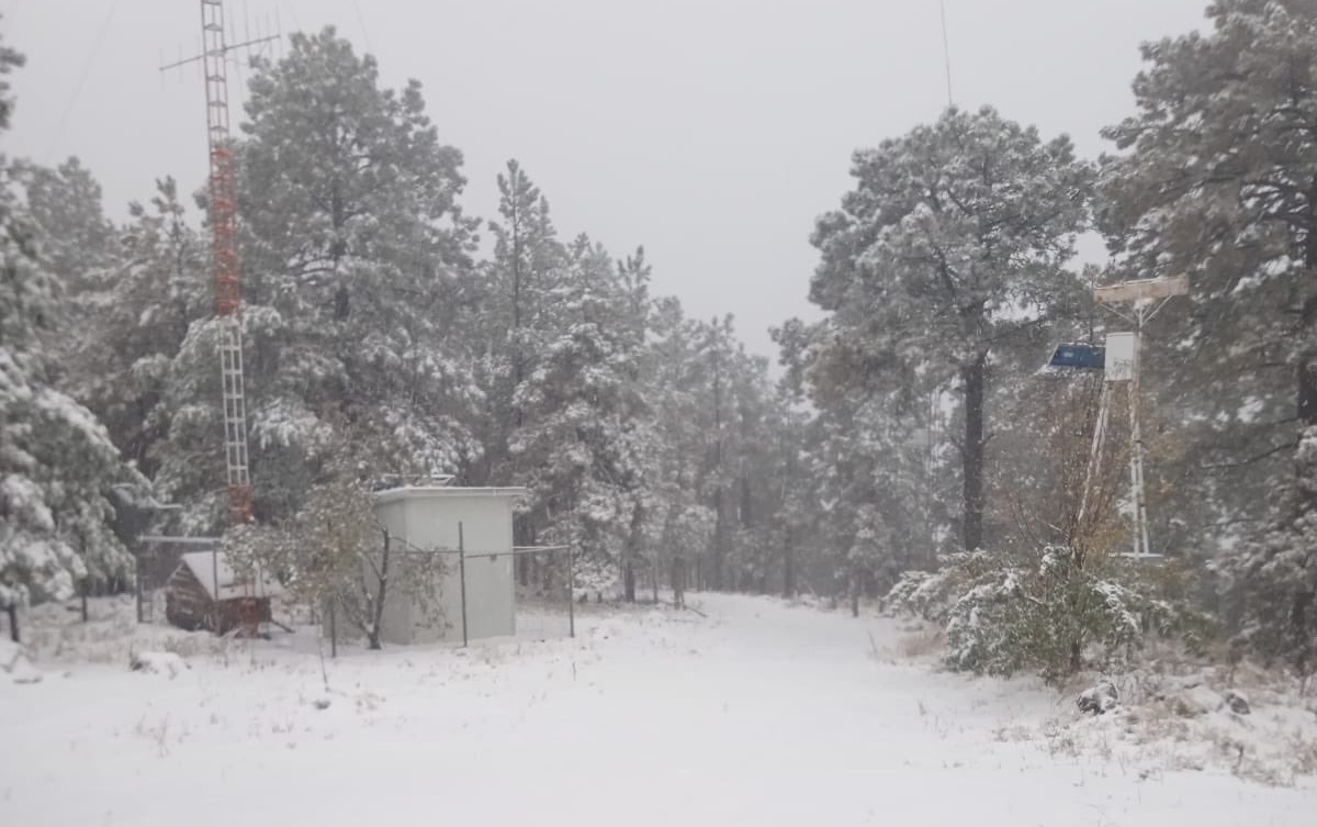 Videos: ¡Huele a invierno! Cae la primera nevada de la temporada en Chihuahua y Sonora; reportan afectaciones