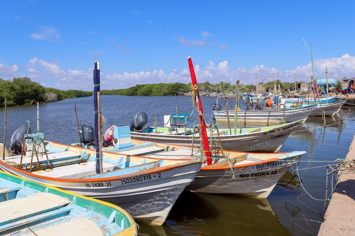 ¡Apunta pescador! Darán inicio en Mazatlán nuevo censo para el pago del Bienpesca