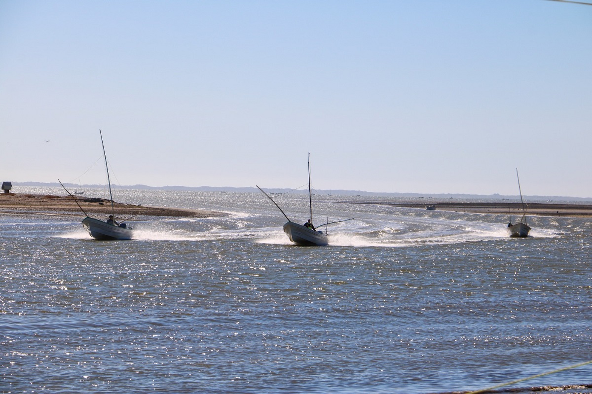 Atienden Secretaría de Pesca y Conagua exigencia de pescadores de la Huites