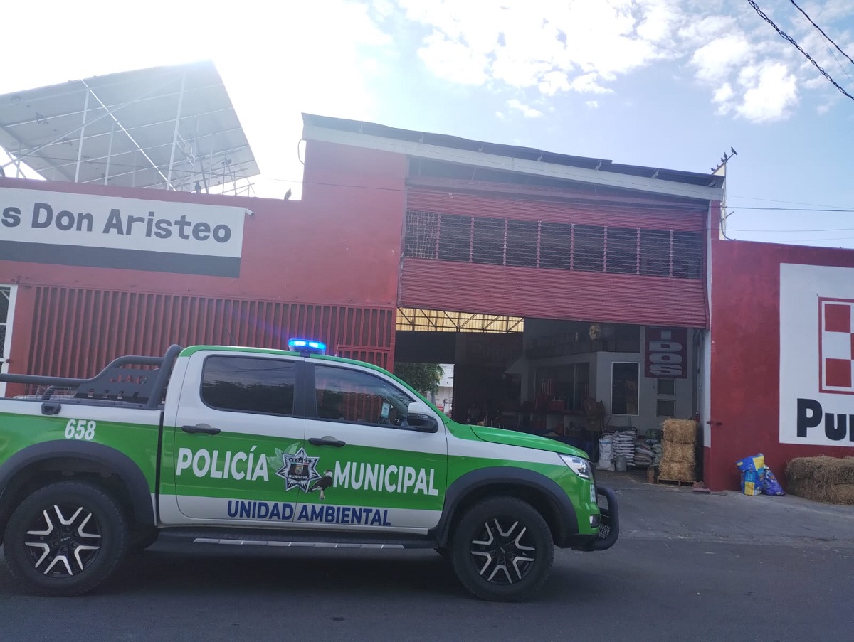 Con machete sujeto agrede a perritos en Guasave; ya está identificado