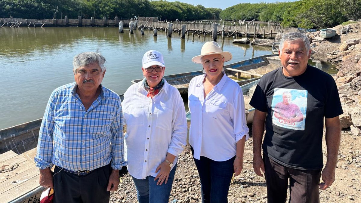 Van por el rescate de la pesca en el sur sinaloense, tras estudios de impacto ambiental